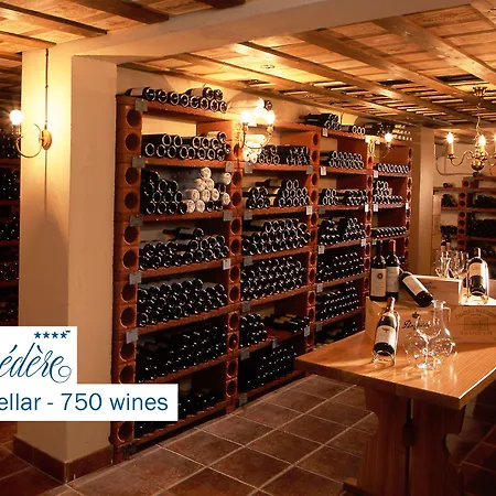 Hotel Belvedere Strandhotel 4*