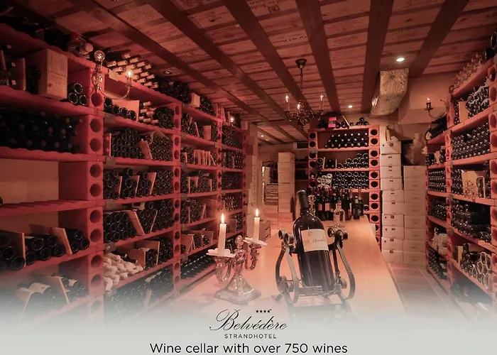 Belvedere Strandhotel 4* Spiez